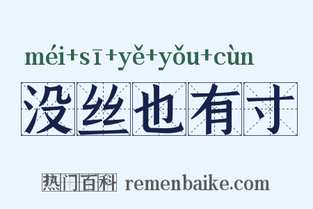 没丝也有寸是什么意思的图片
